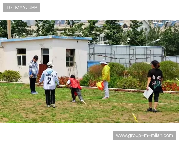 体育活动策略与目标的制定(435 ) 体育活动策略与目标的制定(435 )